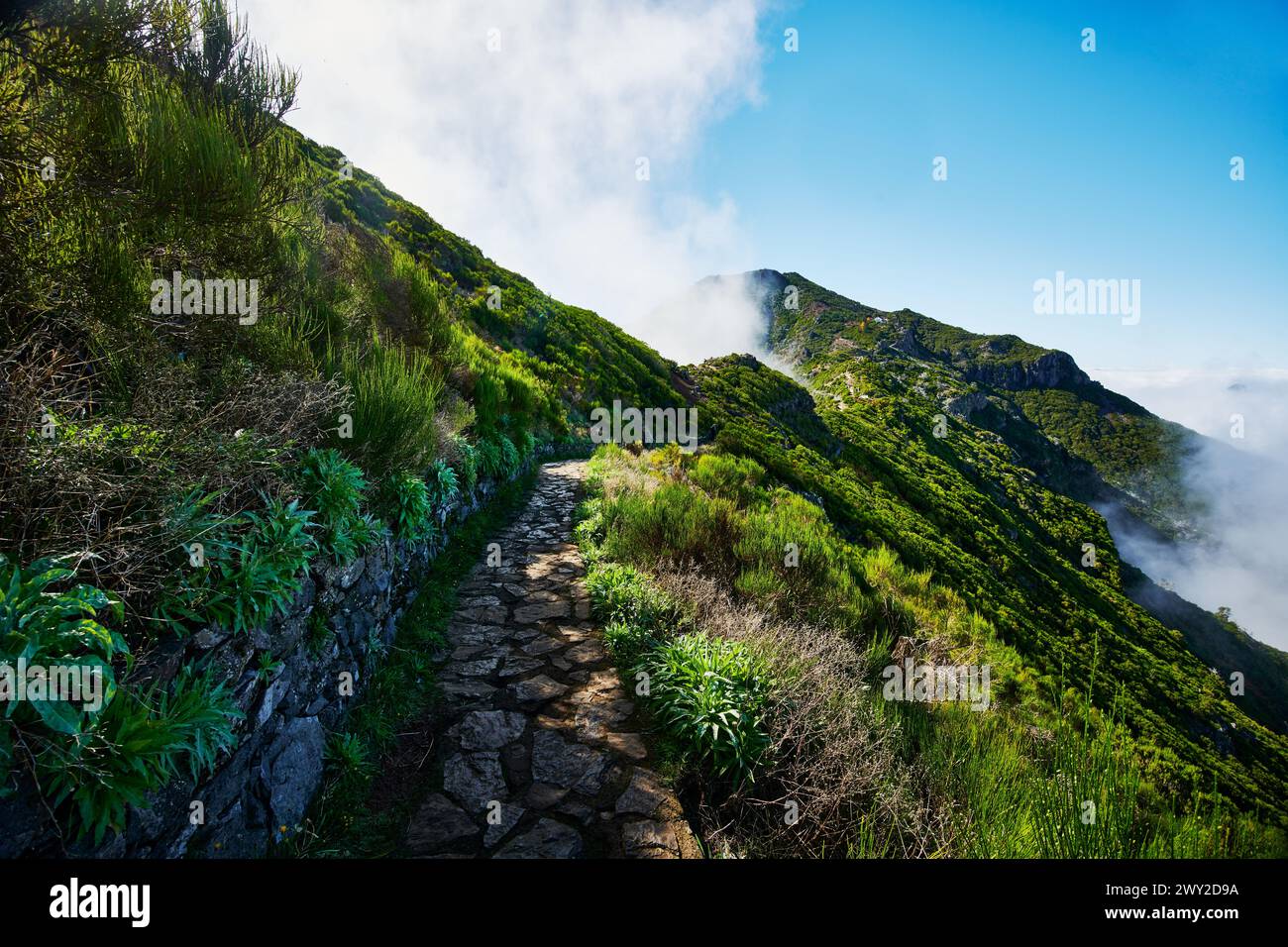 PR1 trail,  Pico do Arierio To Pico Ruivo Hike, On Madeira Island, Portugal, Europe Stock Photo