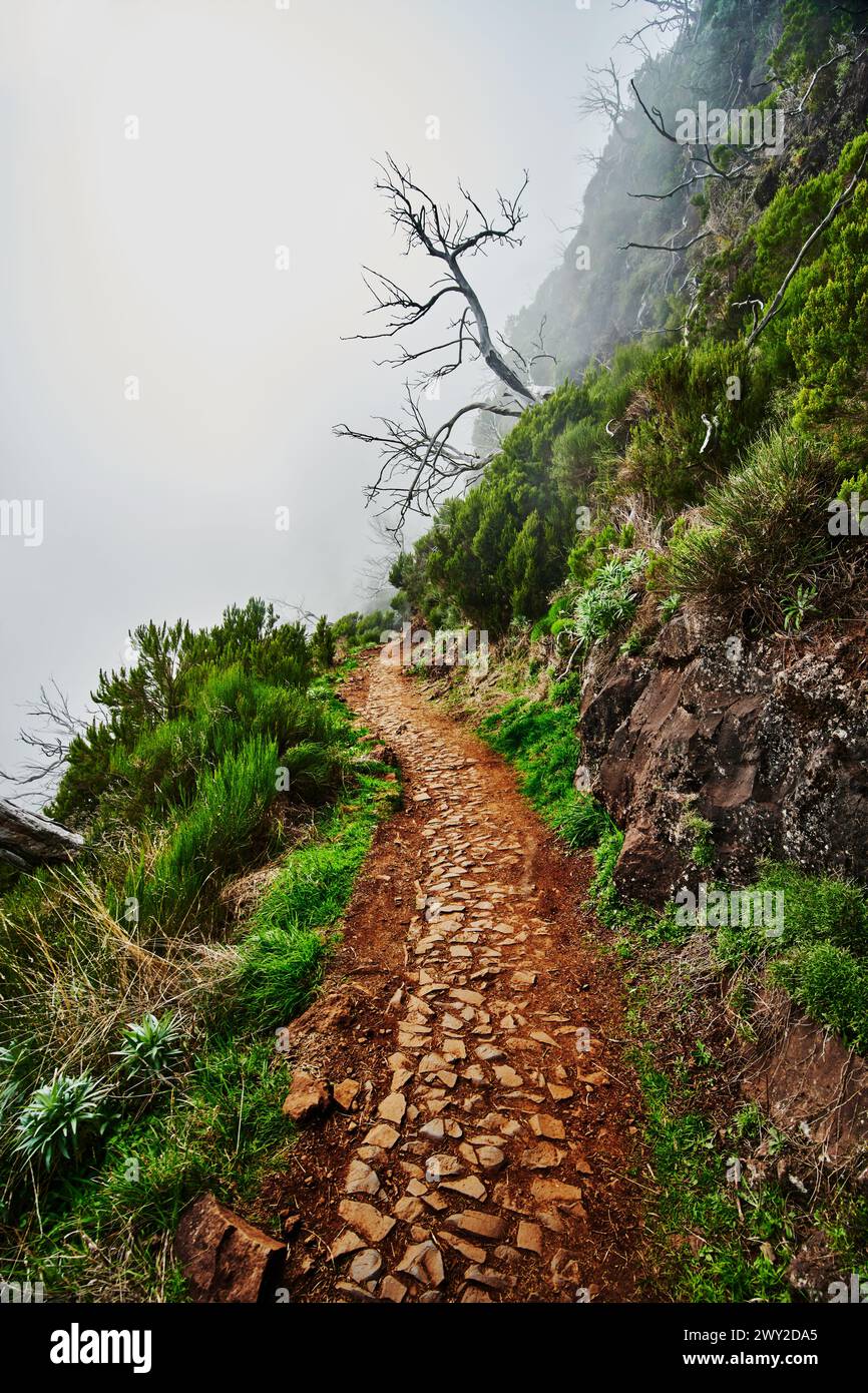 PR1 trail,  Pico do Arierio To Pico Ruivo Hike, On Madeira Island, Portugal, Europe Stock Photo