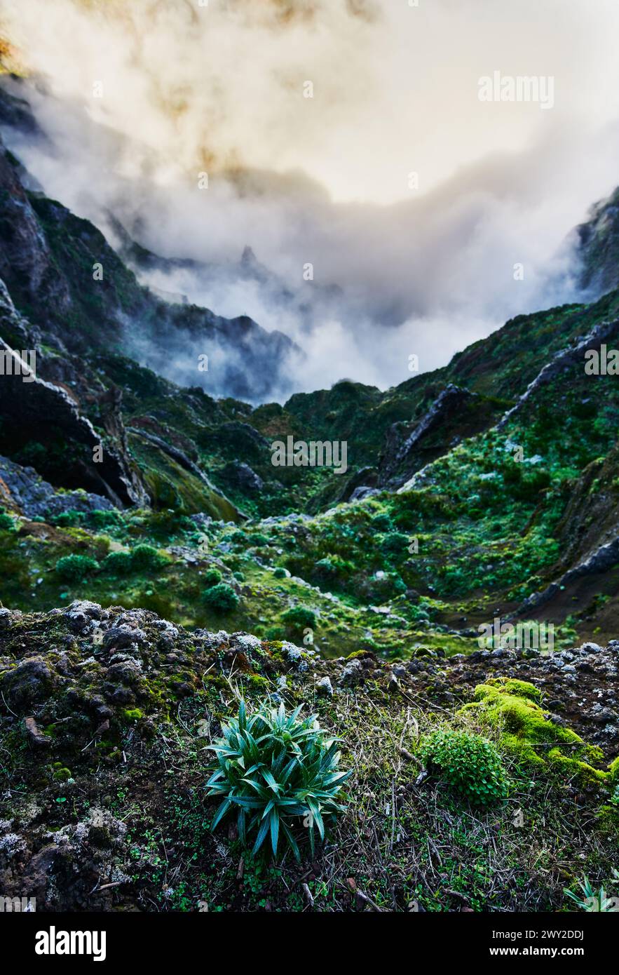 Landscape along the trail, Pico do Arierio To Pico Ruivo Hike (PR1) On Madeira Island, Portugal, Europe Stock Photo