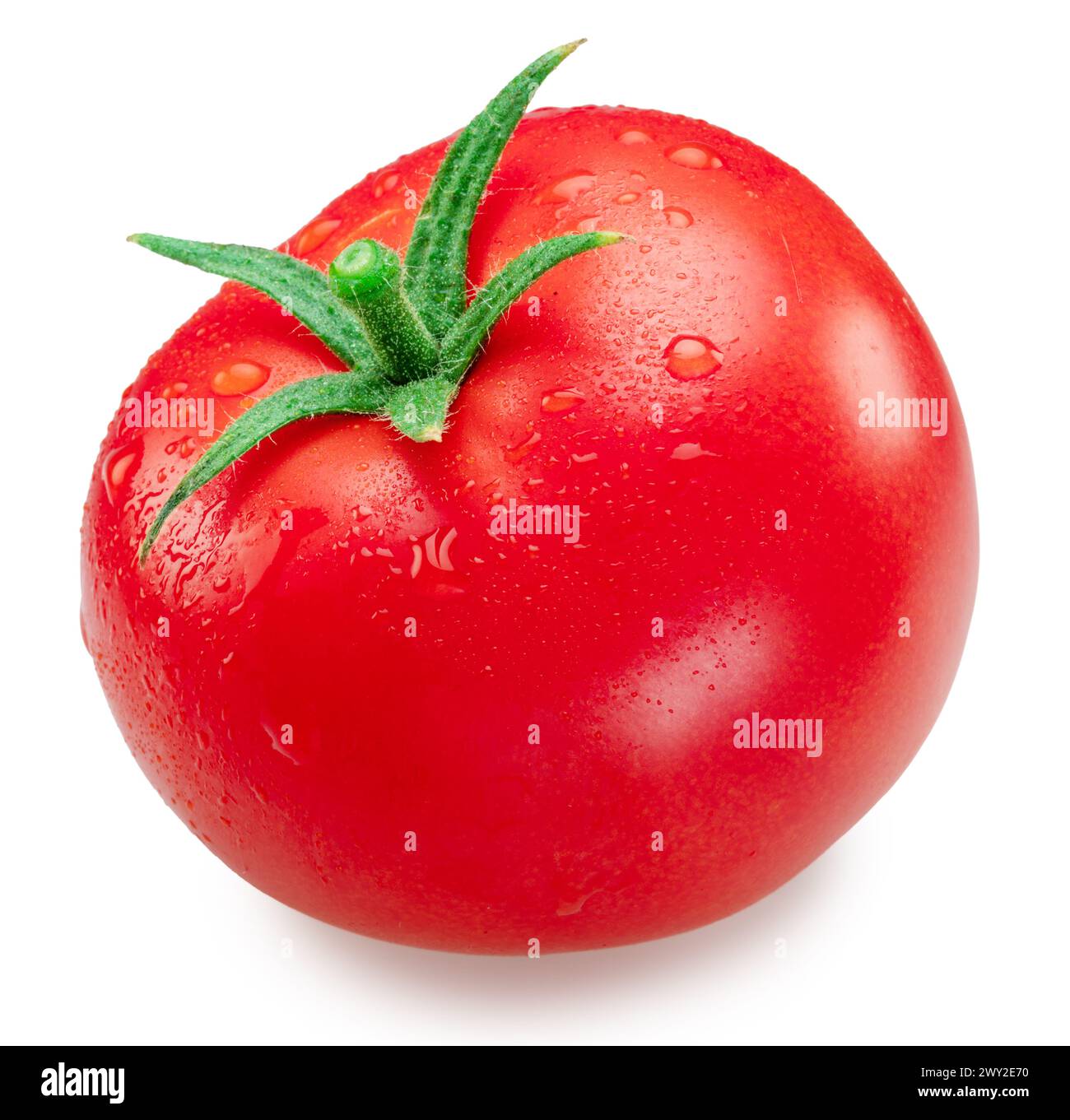Freshly washed red tomato covered with water drops on white background ...