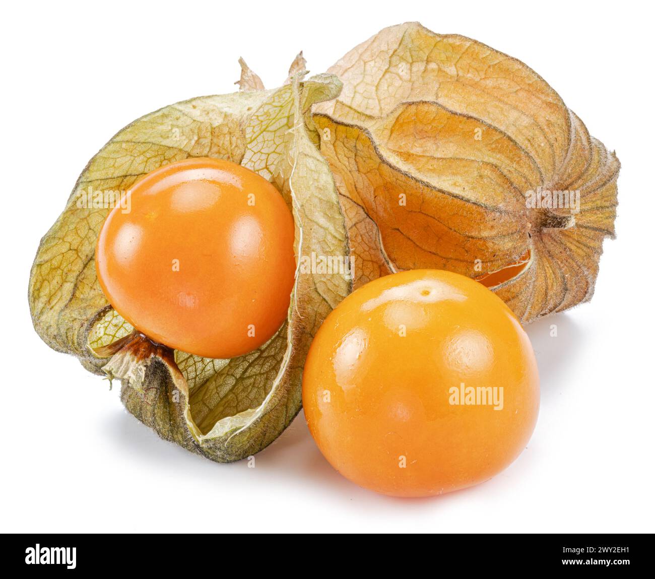 Ripe physalis or golden berry fruits in calyx isolated on white background. Stock Photo