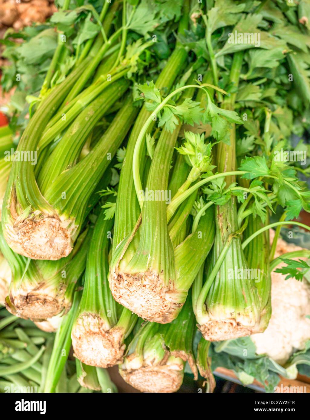 Green fresh celery stalks on the farm market stall. Close up. Stock Photo
