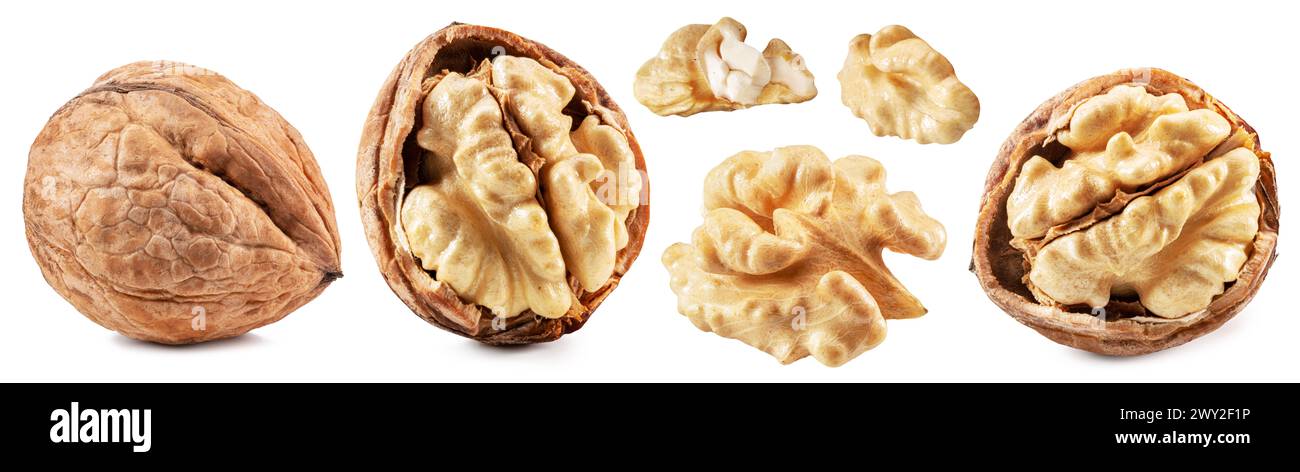 Walnuts Collection Collection of walnuts and walnut kernel with leaves on white background ...