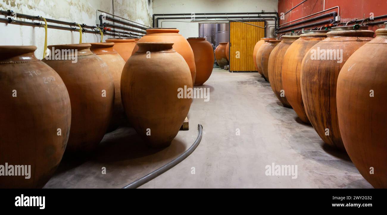 Wine cellar. Ceramic large jugs with wine in cellar Stock Photo Alamy