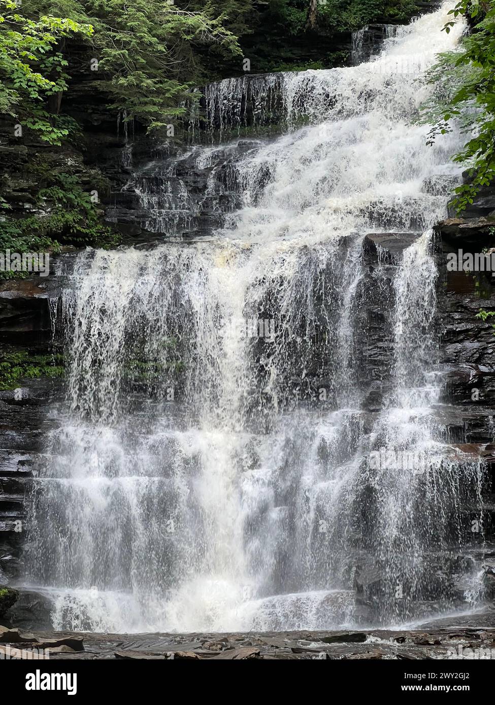 Ganoga Falls tumbles through Ricketts Glen State Park in Benton, Pennsylvania. Stock Photo