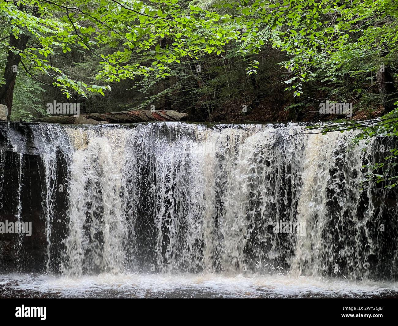 Oneida Falls tumbles through Ricketts Glen State Park in Benton, Pennsylvania. Stock Photo