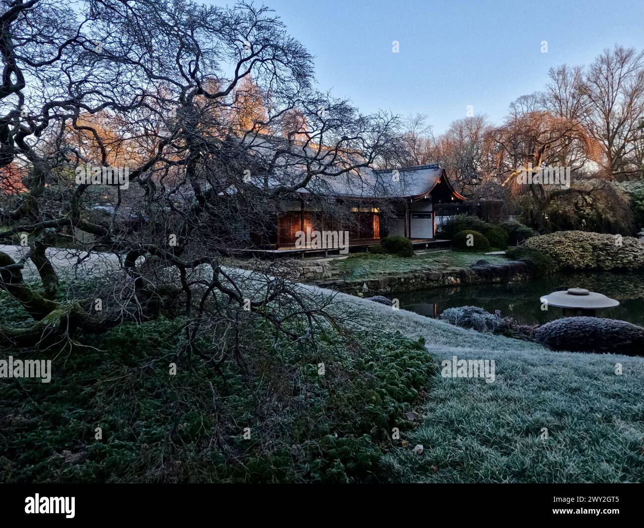 Frost coats the foliage at Shofuso Japanese House in Fairmount Park in Philadelphia, PA. Stock Photo