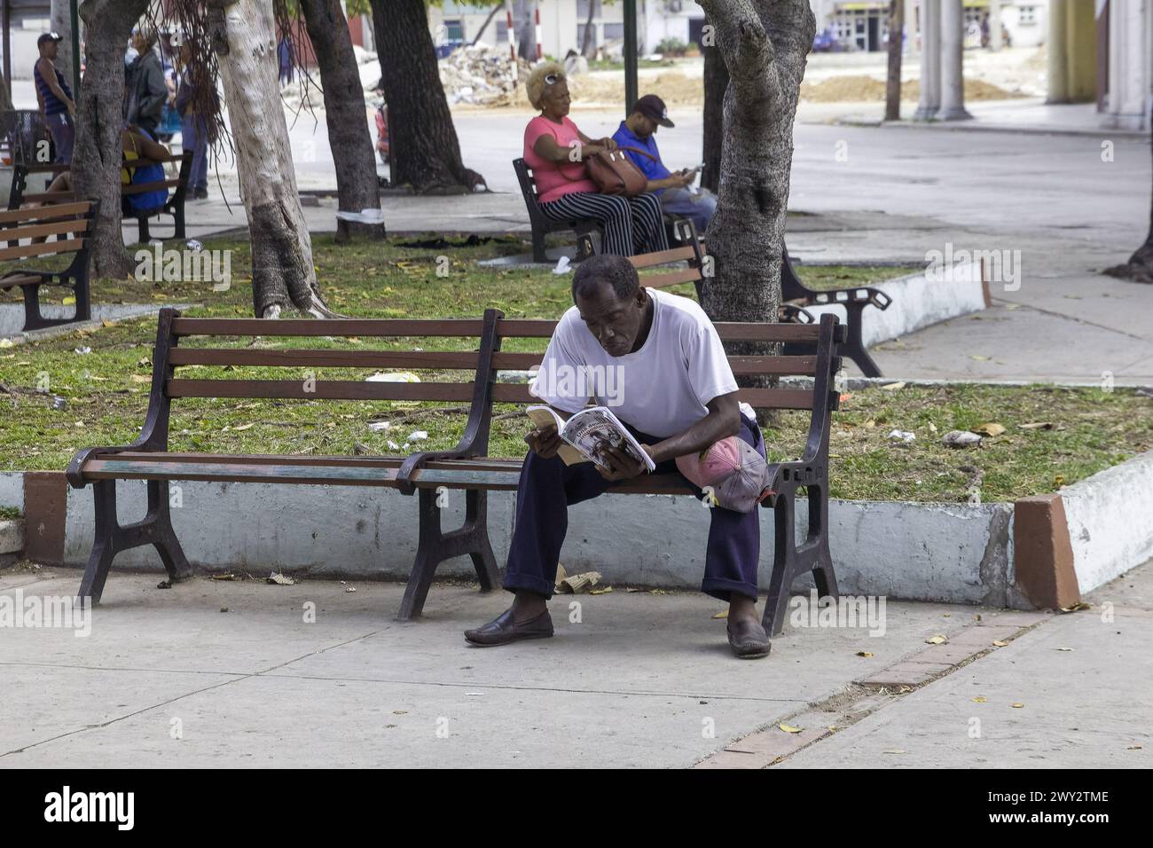 Cuban man reading book in a park bench, Havana, Cuba Stock Photo