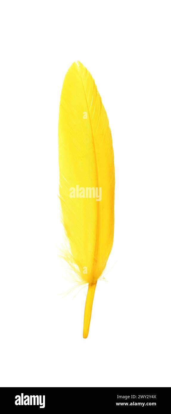 Fluffy beautiful yellow feather isolated on white Stock Photo - Alamy