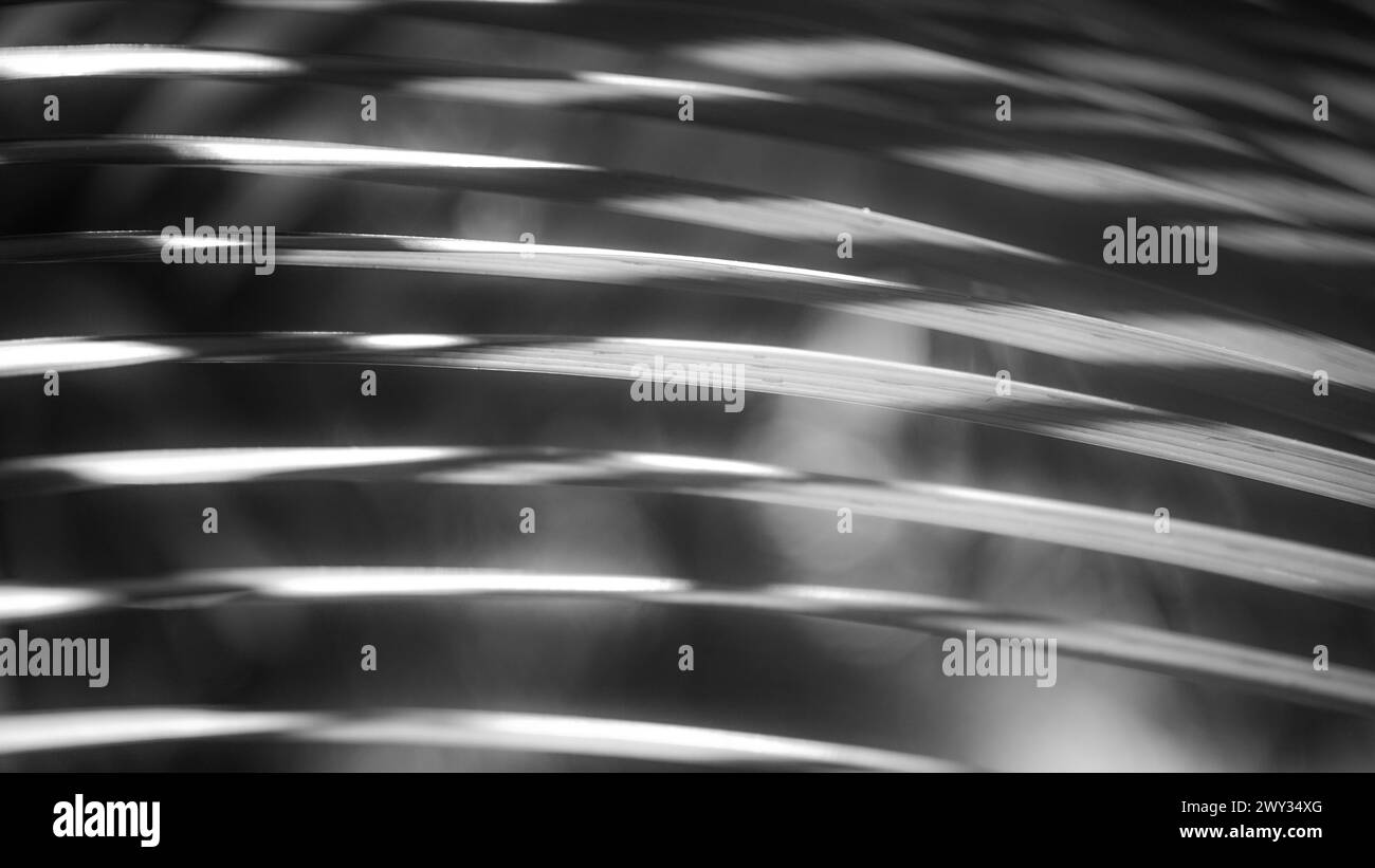Abstract black and white background, details of a tropical palm leaf in horizontal direction Stock Photo