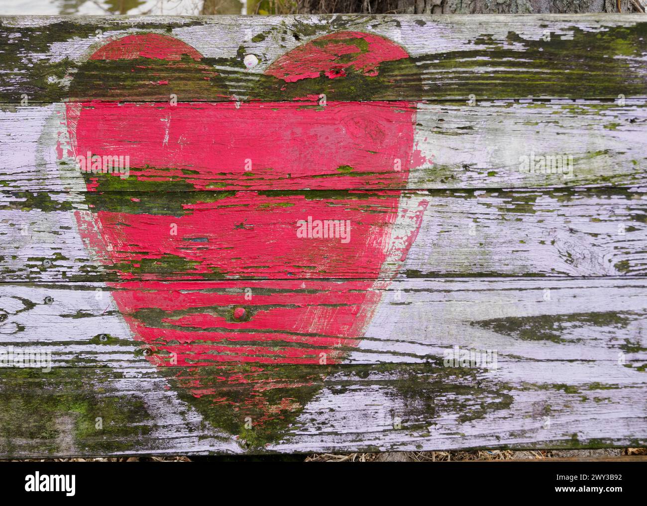 Rustic heart painted on bench, Dyke Marsh, VA Stock Photo