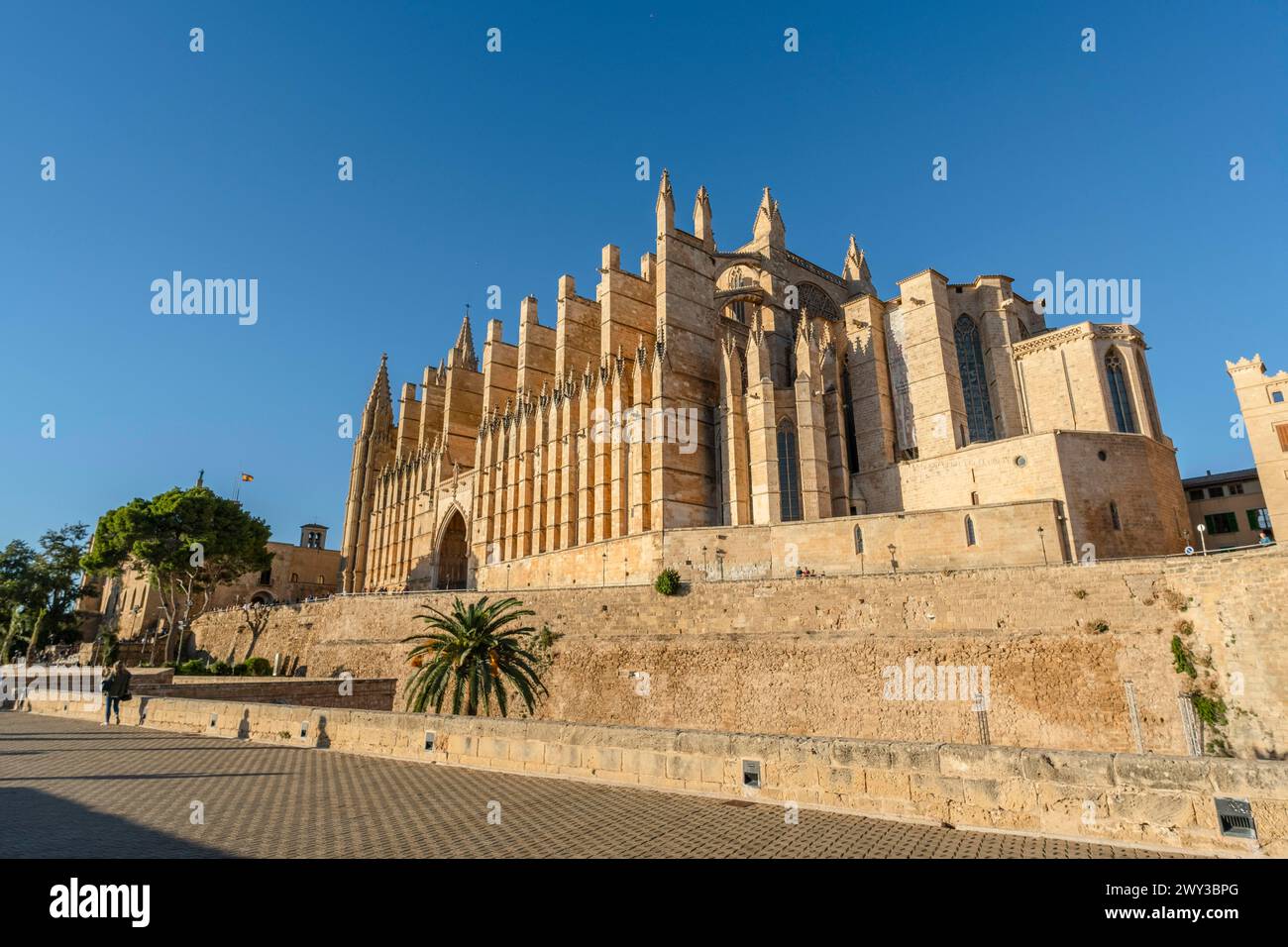 Beautiful view of cathedral in Palma de Mallorca, Spain Stock Photo