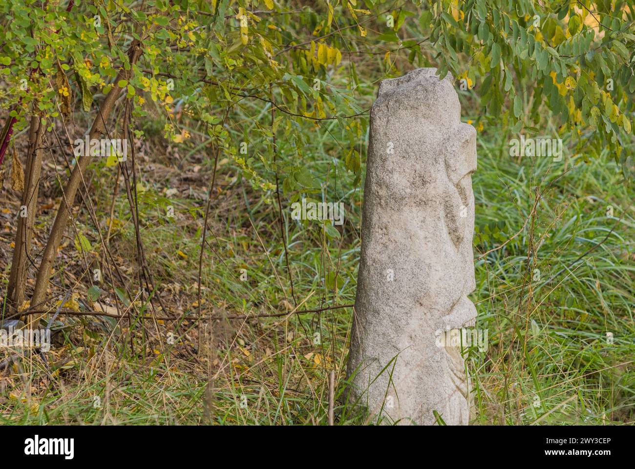 Simplistic stone carving of a face's side view, blending with the natural background, in South Korea Stock Photo