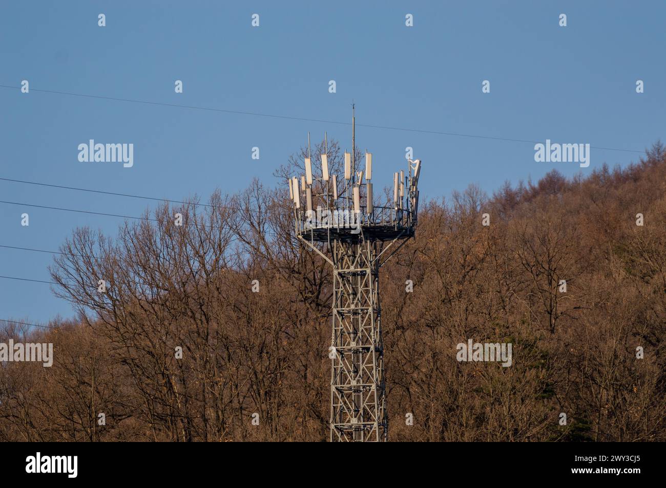 Industrial cell tower with antennas rising against a backdrop of forest