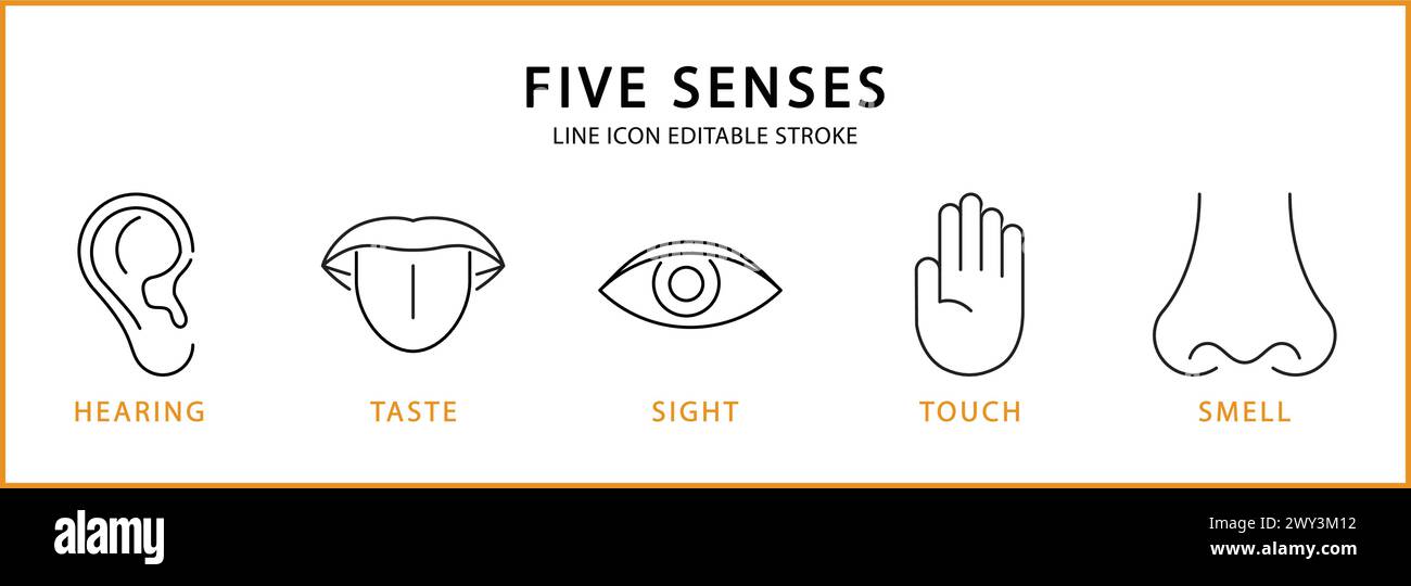 Five Senses Icons. Five senses icon set. Five senses Line Icons. Vector Illustration. Editable stroke. Stock Vector