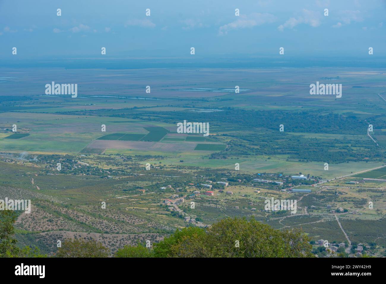 Vineyards in Alazani valley at the Kakheti region of Georgia Stock ...