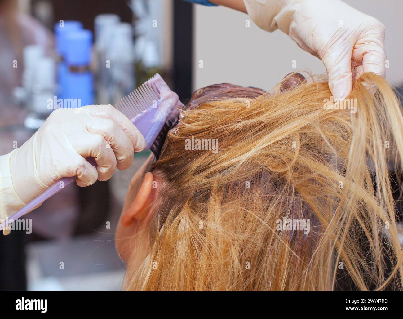 The hairdresser paints the woman's hair in white, apply the paint to