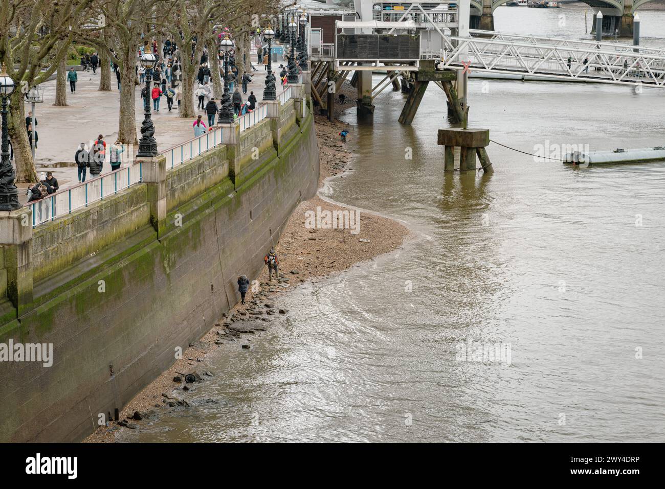 Metal detectorists on the Thames foreshore searching for treasure. It appears that the tide is rising and they are in danger of becoming stranded. Stock Photo