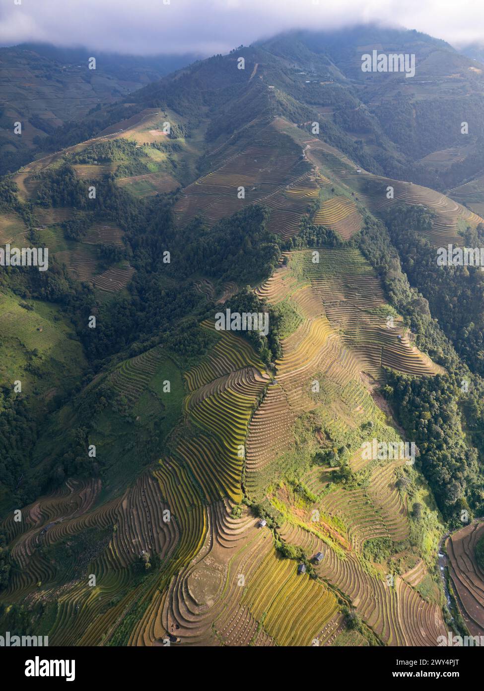 An aerial view of stunning rice terraces in Mu Cang Chai, Vietnam Stock ...