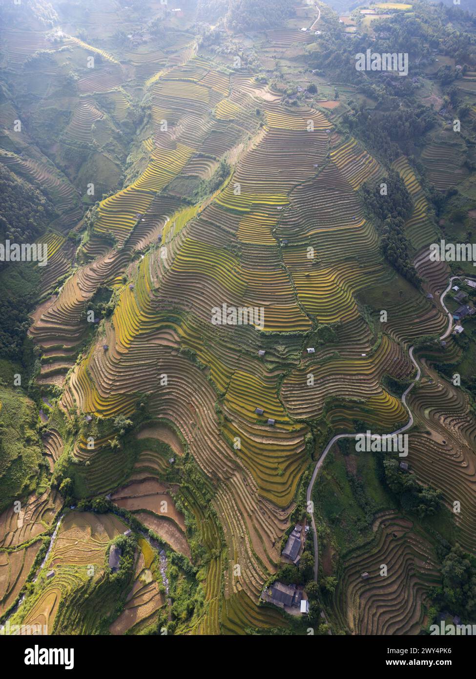 An aerial view of the rice terraces in Mu Cang Chai, Vietnam Stock ...
