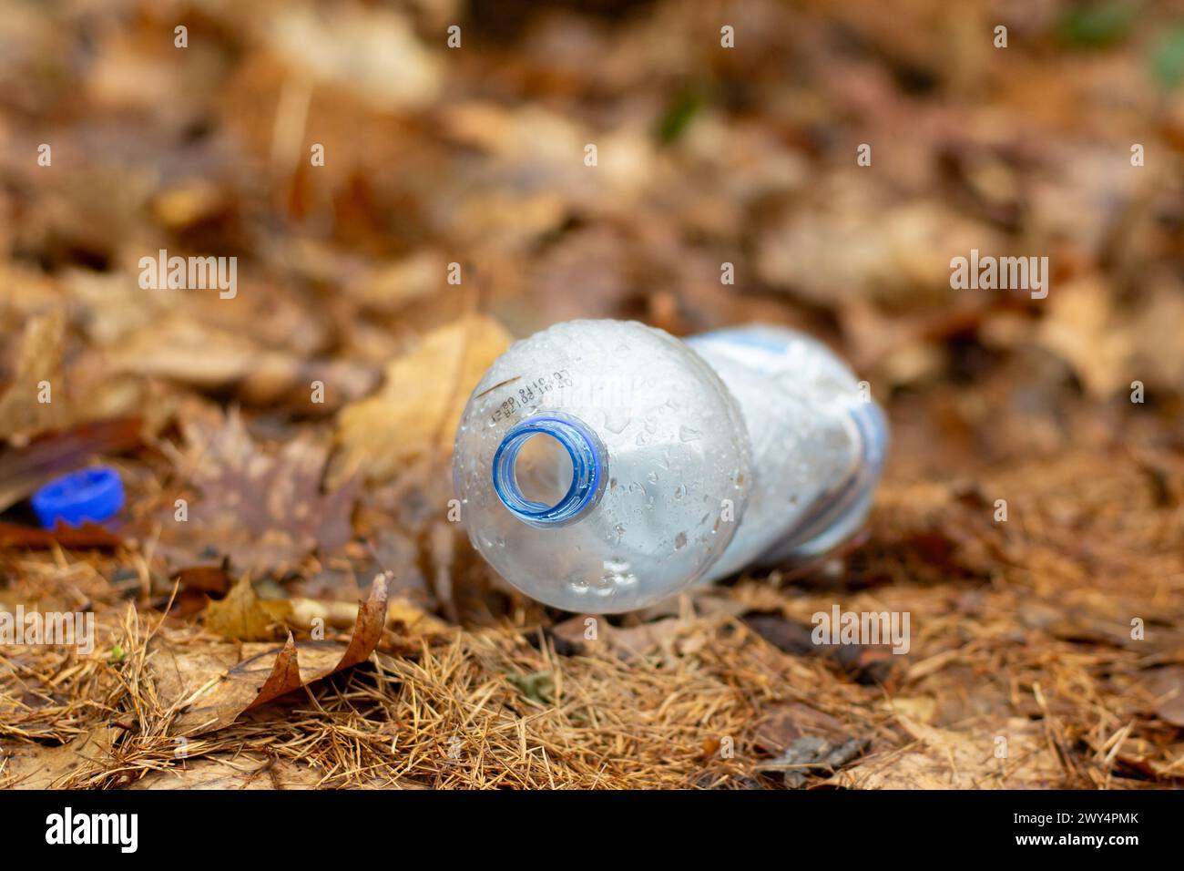 Plastic bottle thrown out in fallen leaves in forest harming