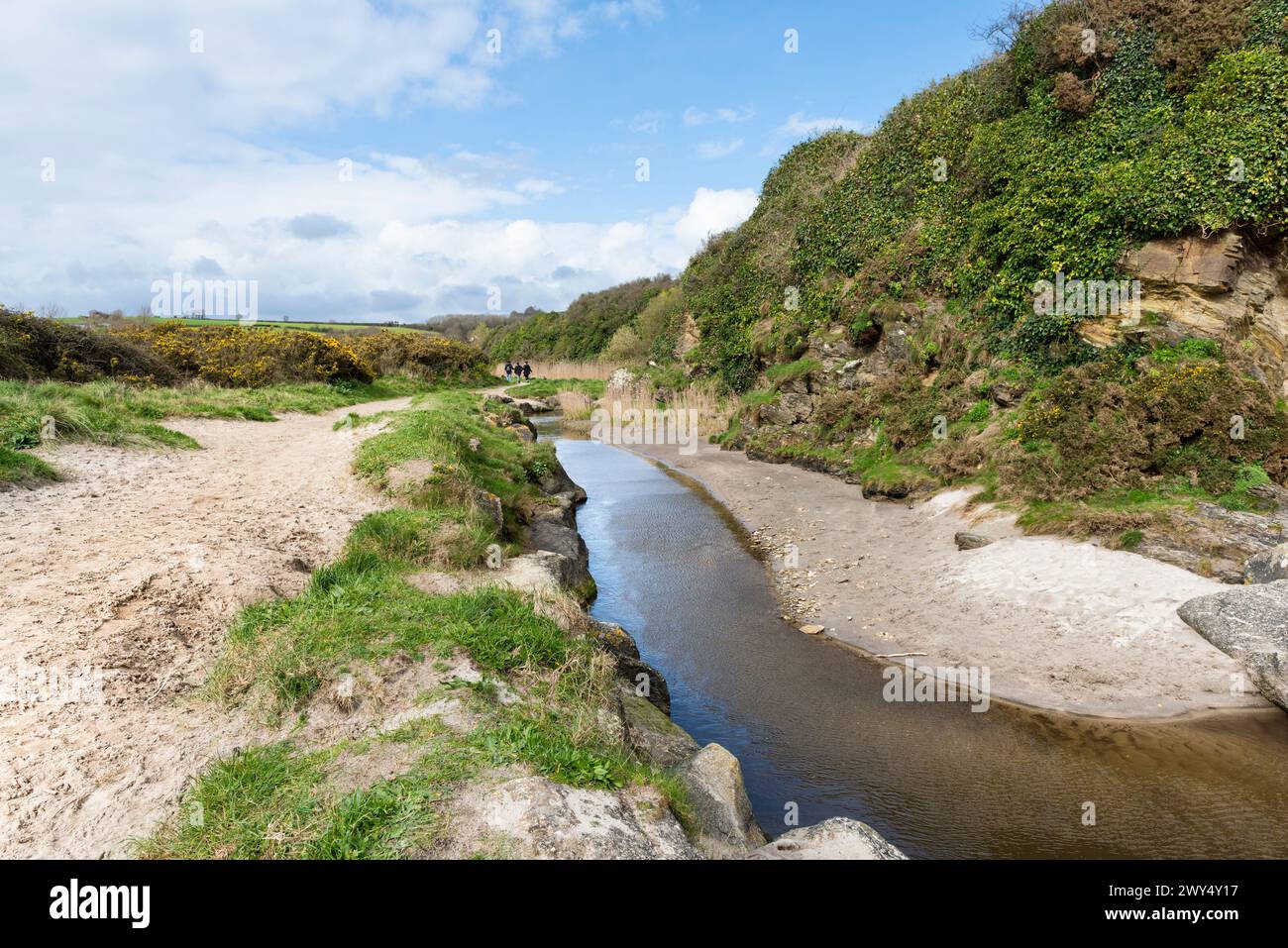 The Par Polmear River flowing towards the sea at Par Beach in Cornwall in the UK. Stock Photo