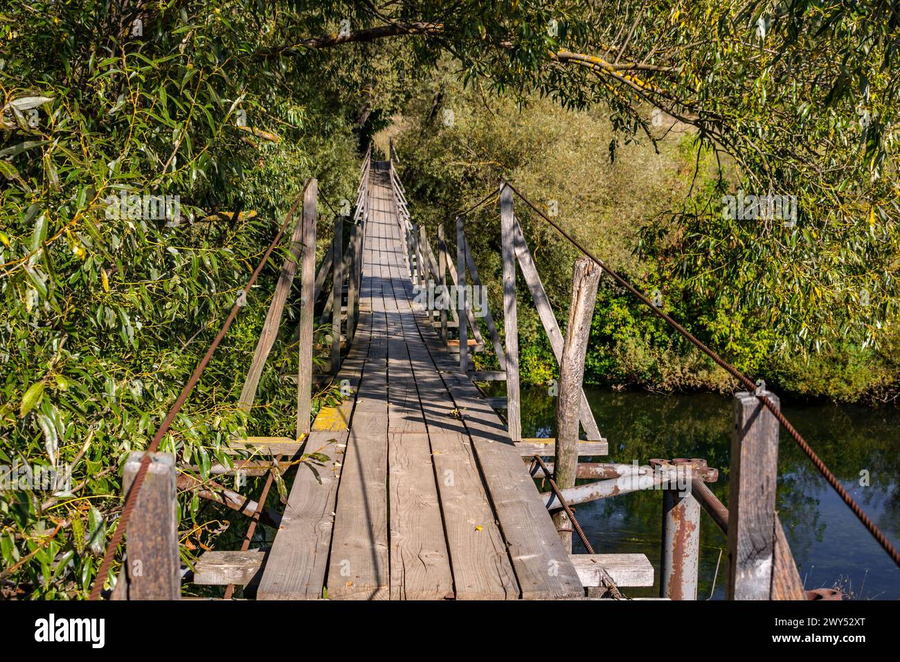 Old rustic pedestrian bridge across the Protva River, Potresovo village ...