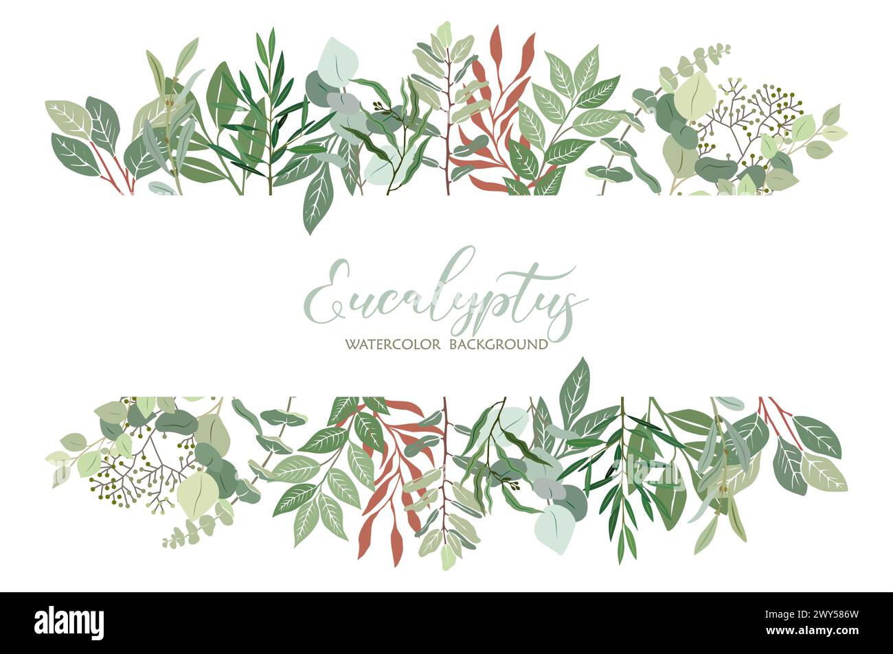 Border frame with green leaves of eucalyptus Stock Vector Image & Art ...