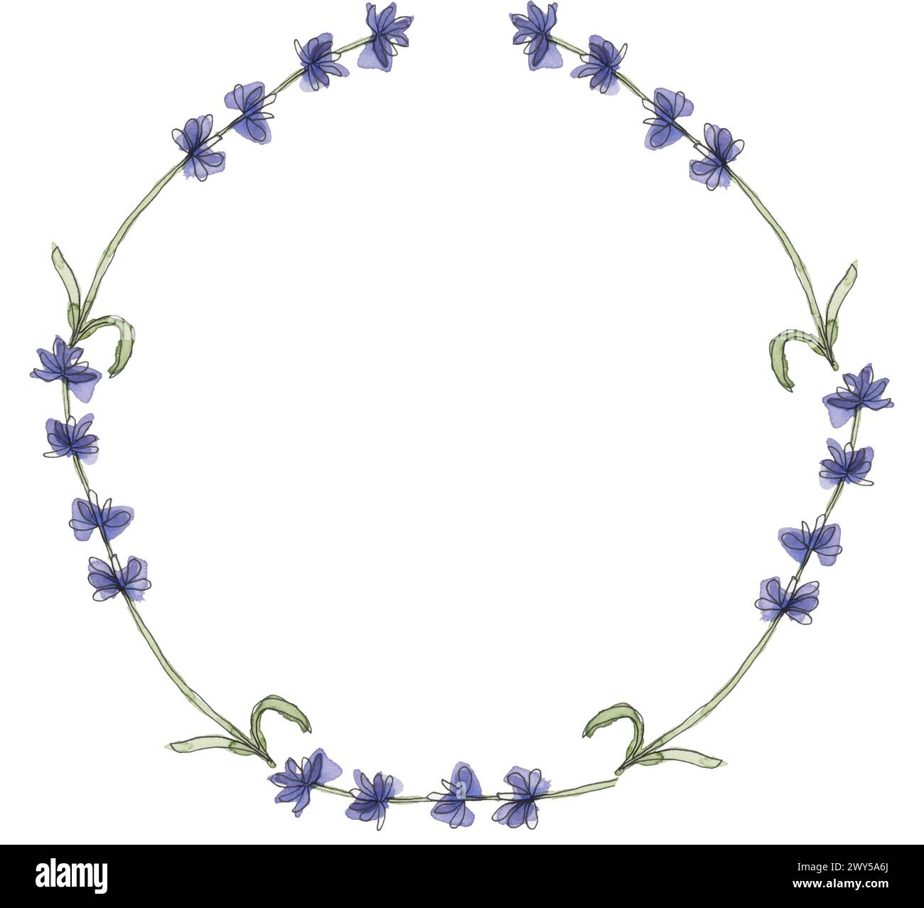 Watercolor lavender wildflowers wreath illustration, meadow flowers ...