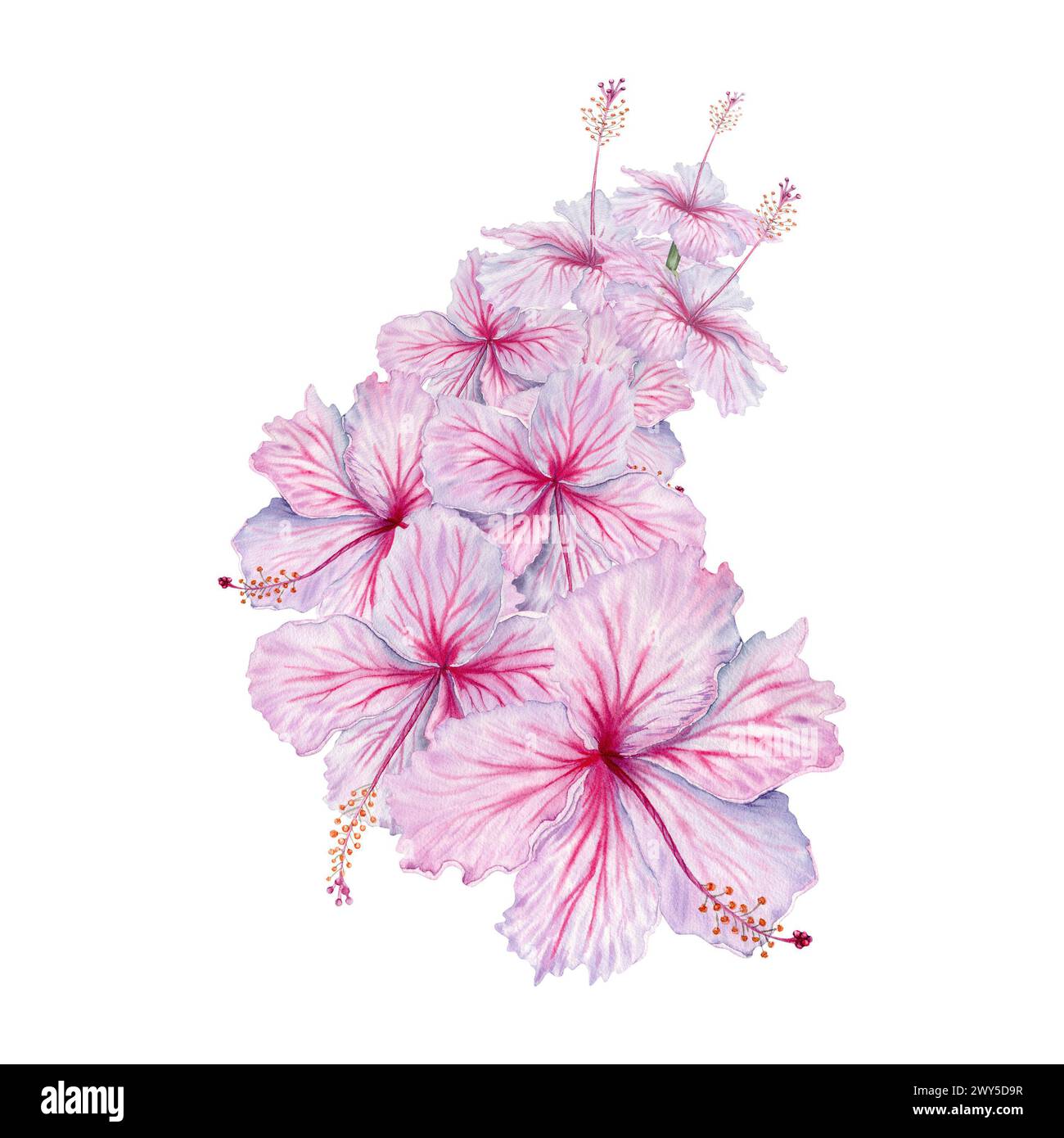 Toile à Canevas à Broder - Motif Peint à La Main Fleurs D'Hibiscus - 18 Points/Pouce - Réf. HPF67