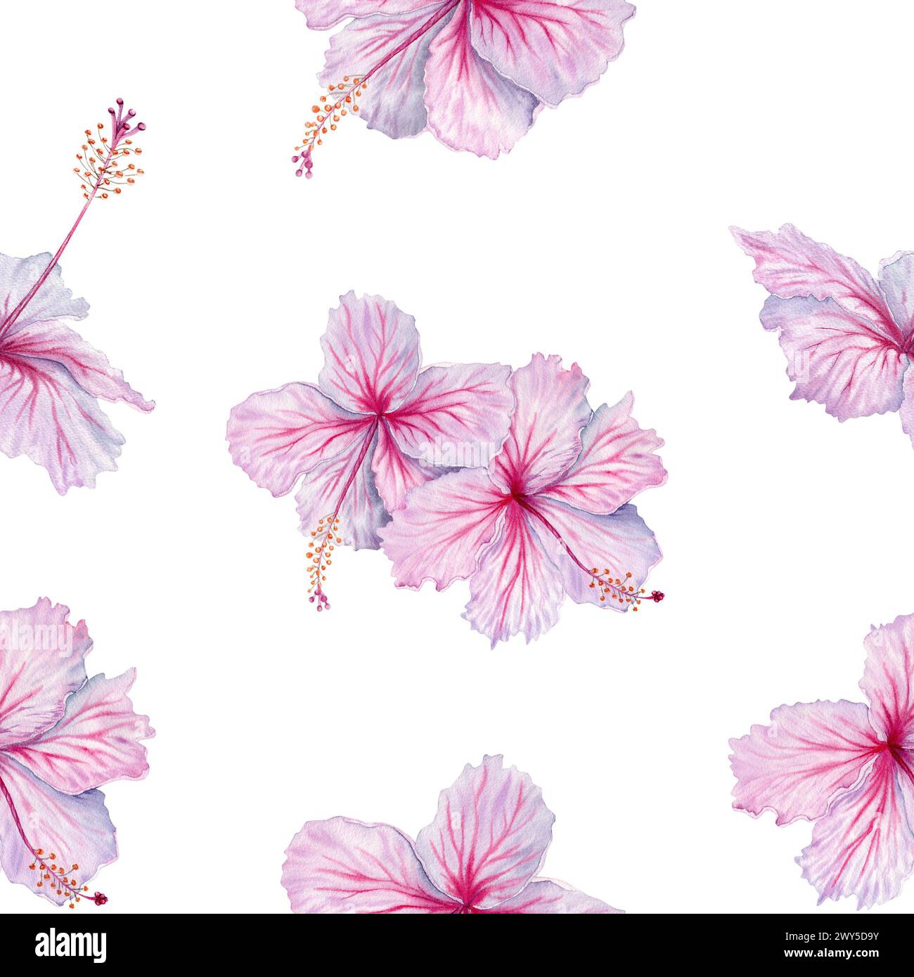 Watercolor pink hibiscus flowers seamless pattern. Elegant floral ...