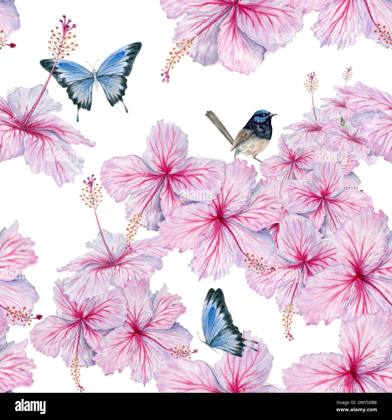 Watercolor pink hibiscus flowers with butterflies and birds seamless pattern. Floral composition on white background. For tea and syrup. Cosmetics Stock Photo