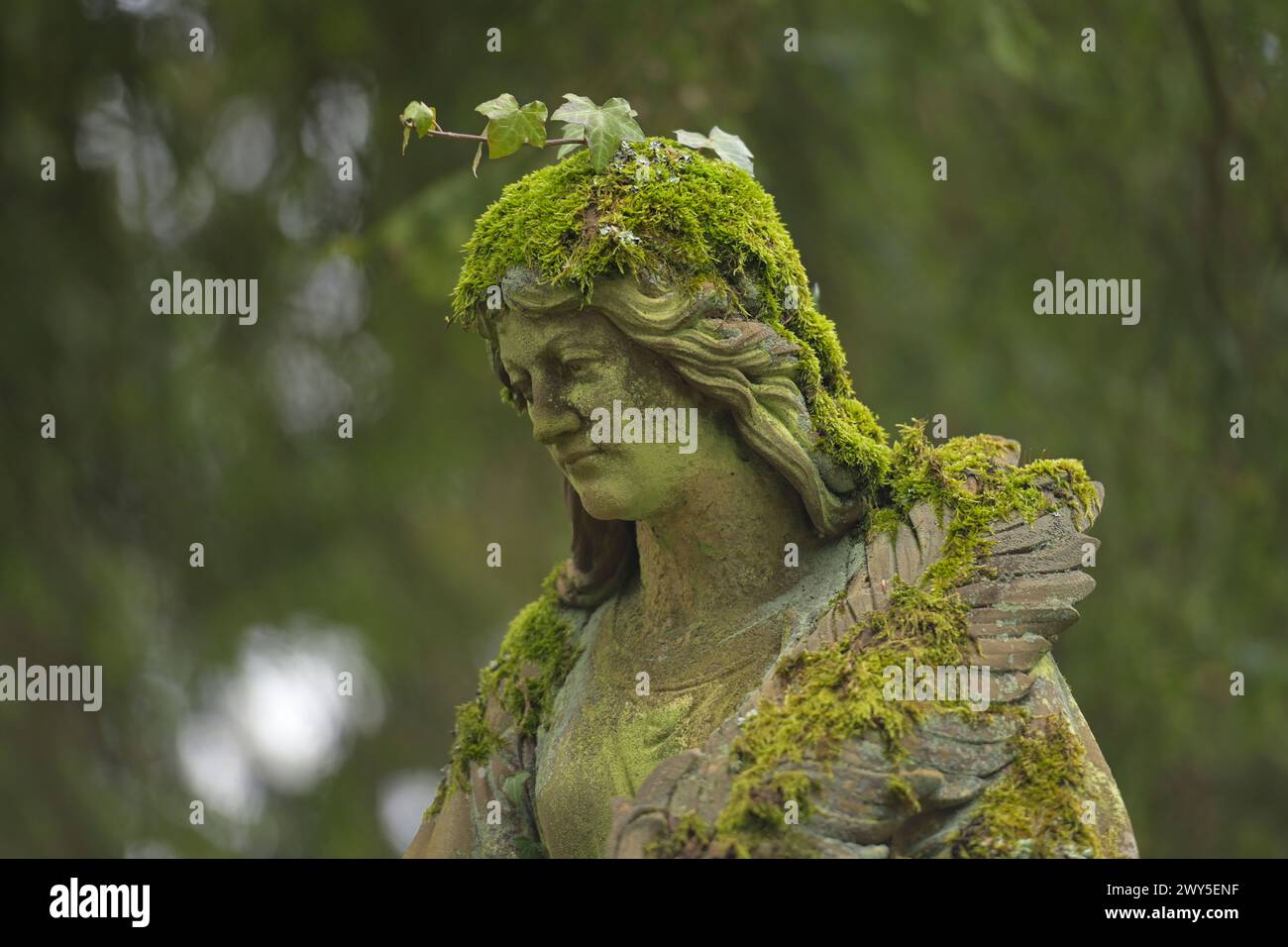 Moos, Trauerfigur, Symbolfoto für Tod, Trauer, Nordfriedhof, Wiesbaden, Hessen, Deutschland Stock Photo