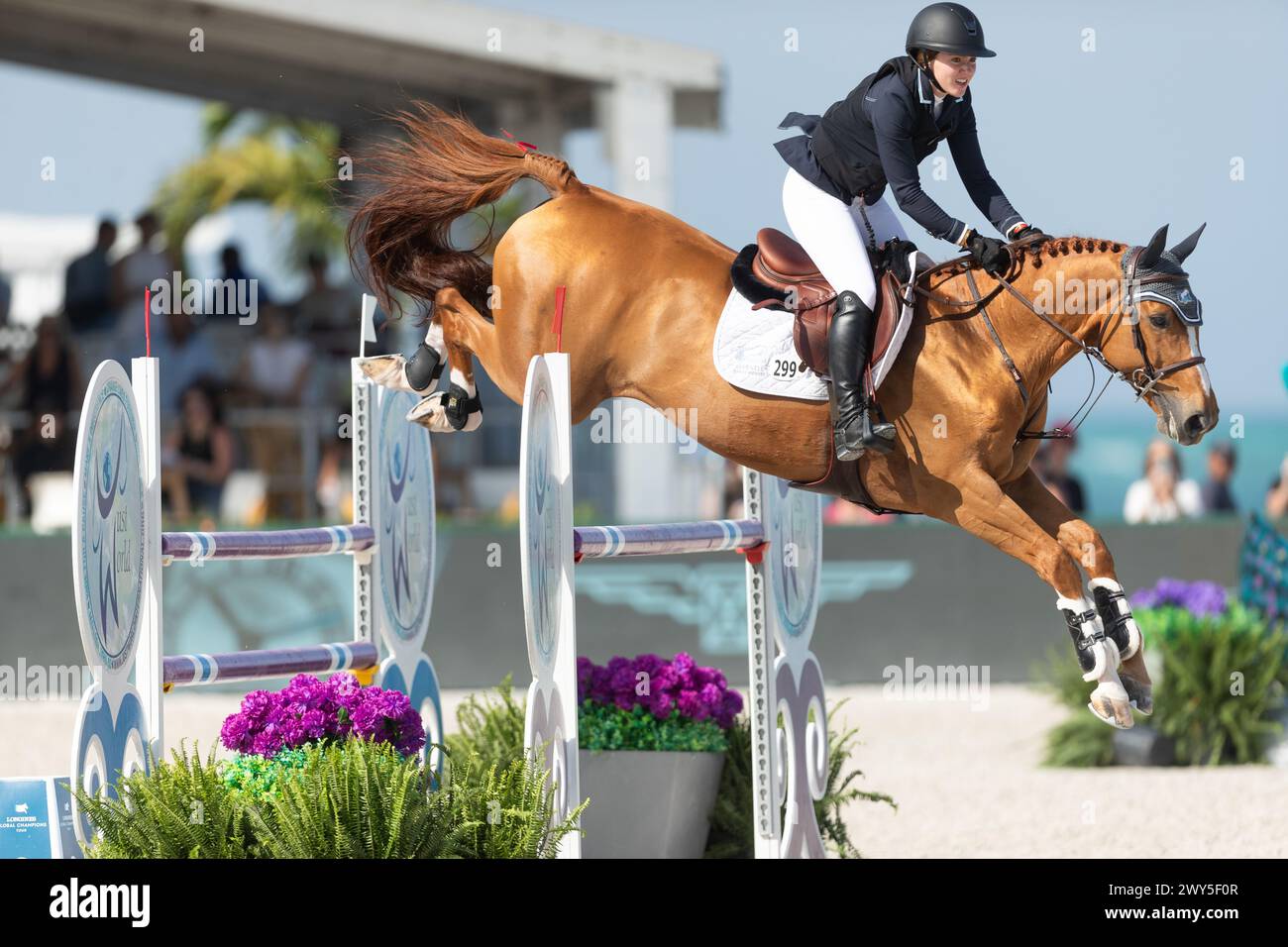 Miami Beach, USA - April 3, 2024. Ariana Marnell of the USA and riding Away Semilly competes during the 1.40 Speed Class at Longines GCL Miami. Stock Photo