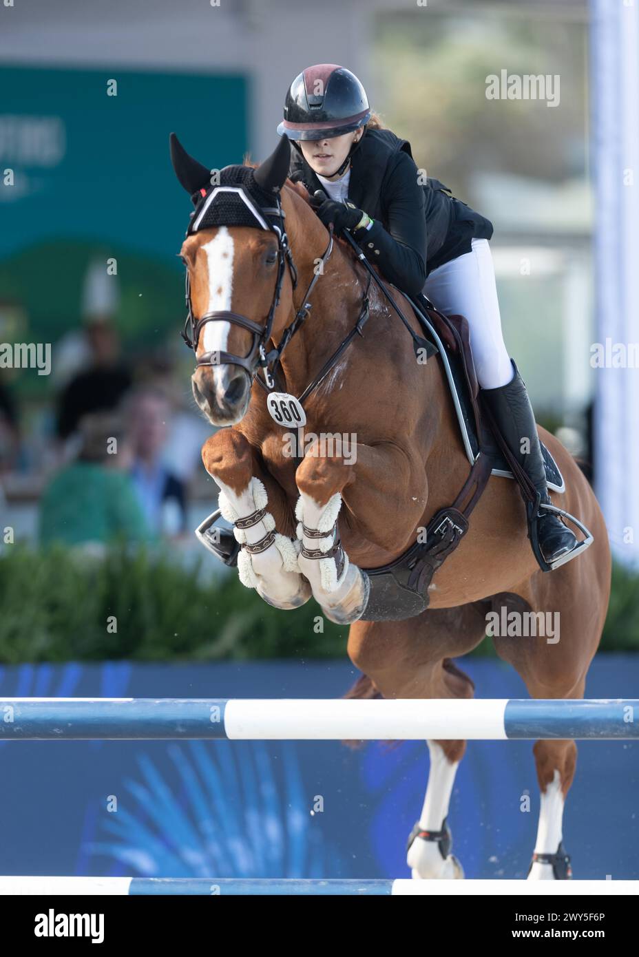 Miami Beach, USA - April 3, 2024. Caroline Mawhinne of the USA and riding Oo Seven de l'Equipe competes during the 1.40 Speed Class at Longines GCL Mi Stock Photo