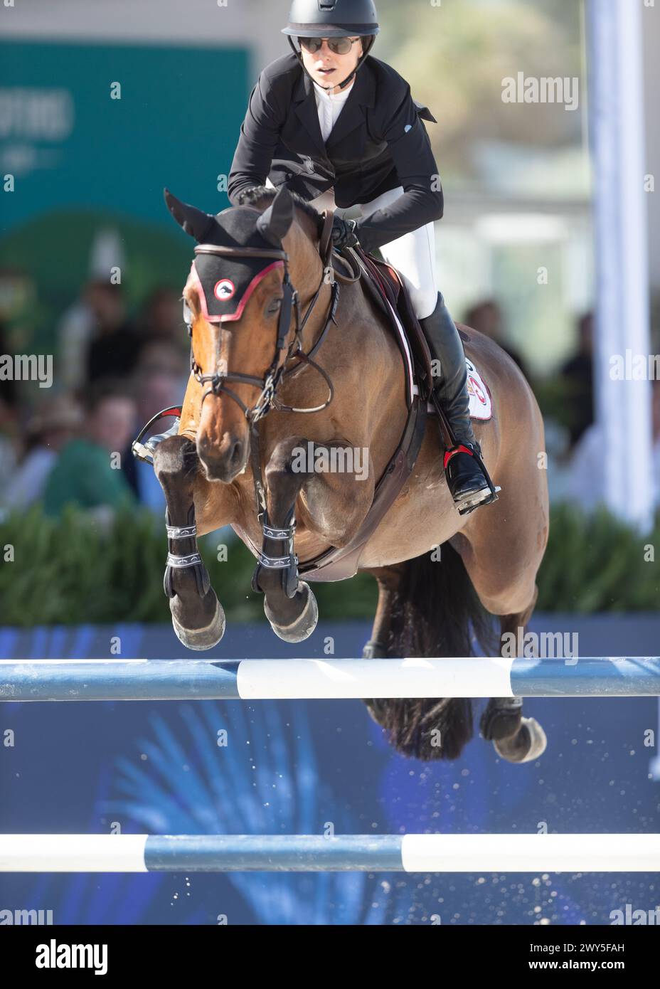 Miami Beach, USA - April 3, 2024. Georgina Bloomberg of the USA and riding Sempa Fidelis competes during the 1.40 Speed Class at Longines GCL Miami. Stock Photo