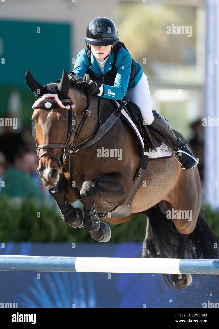 Miami Beach, USA - April 3, 2024. Olivia Sweetnam of the USA and riding Debbie Harry competes during the 1.40 Speed Class at Longines GCL Miami. Stock Photo