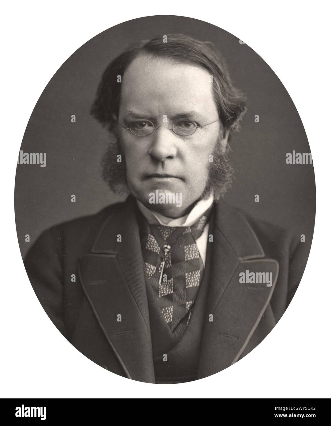 Lyon Playfair (1818-1898), 1877.  Playfair, Scoittish chemist and politician - Unknow photographer Stock Photo