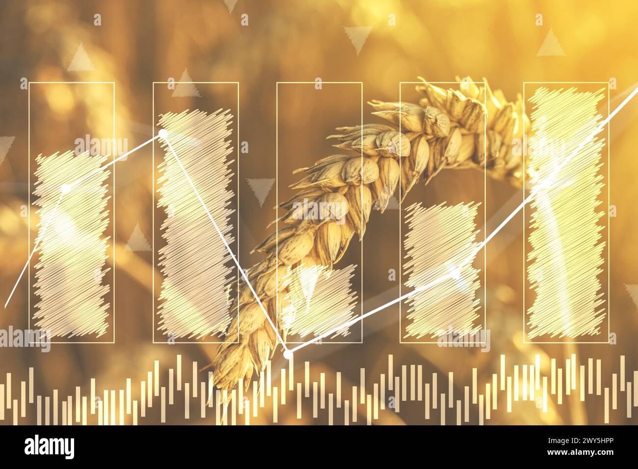 Grain prices. Wheat field and graphs, double exposure Stock Photo - Alamy