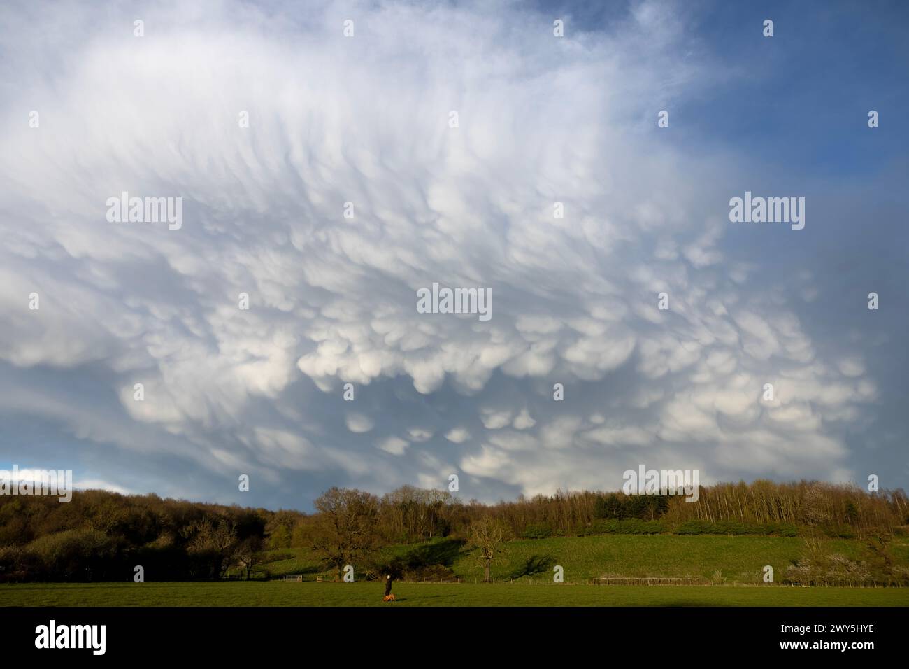 29/03/24  Following heavy rain rare mammatus clouds form over Walton-on-Trent, Derbyshire, UK.   Mammatus clouds are unusual and eye-catching cloud fo Stock Photo