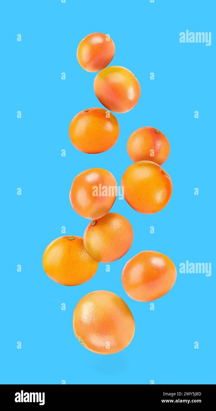 Fresh ripe grapefruits falling on light blue background Stock Photo