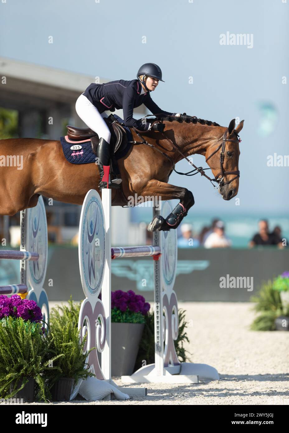 Miami Beach, USA - April 3, 2024. Teddi Pritzker of the USA and riding Ditarca Oh Z competes during the 1.40 Speed Class at Longines GCL Miami. Stock Photo