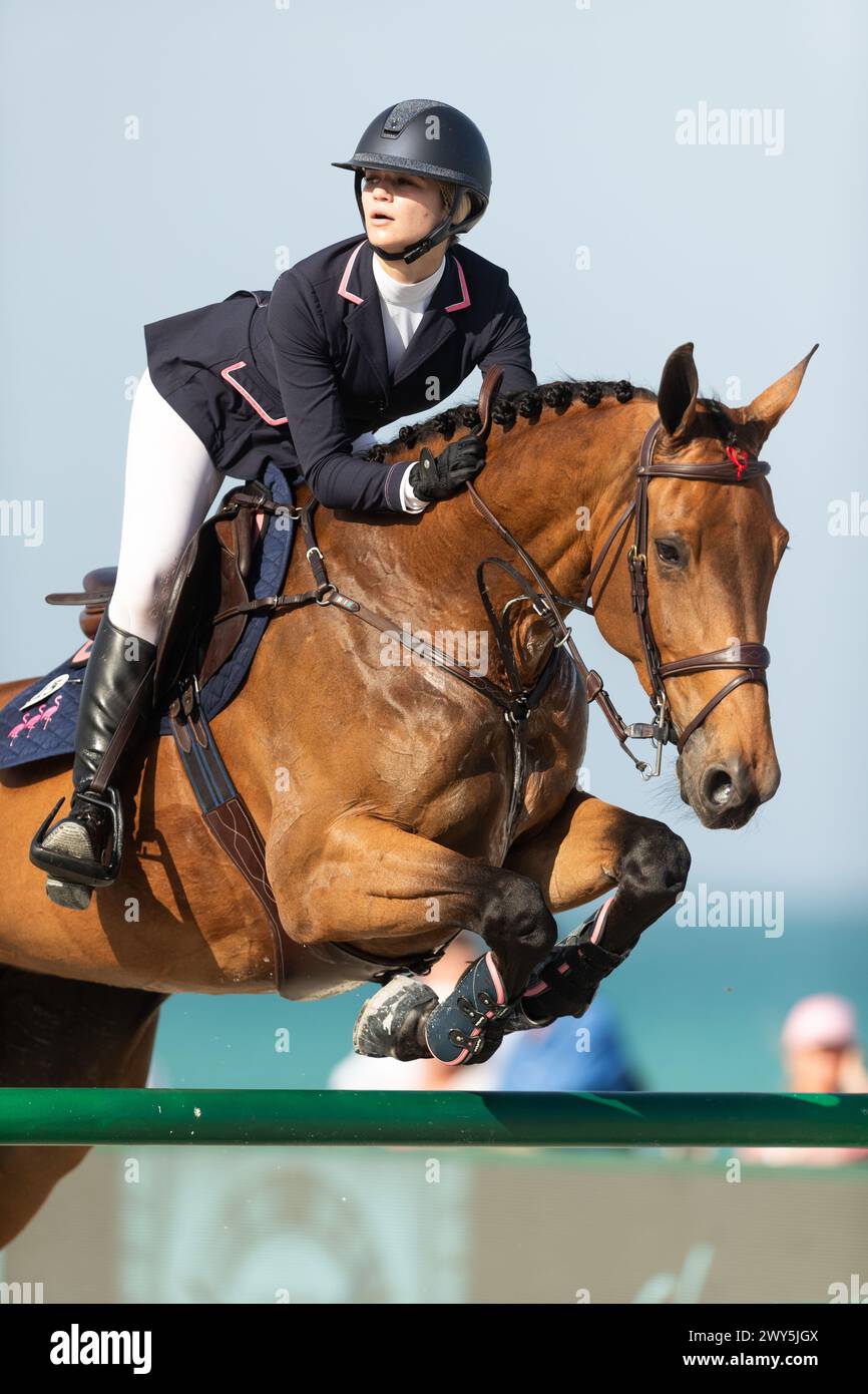 Equestrian word hi res stock photography and images Alamy