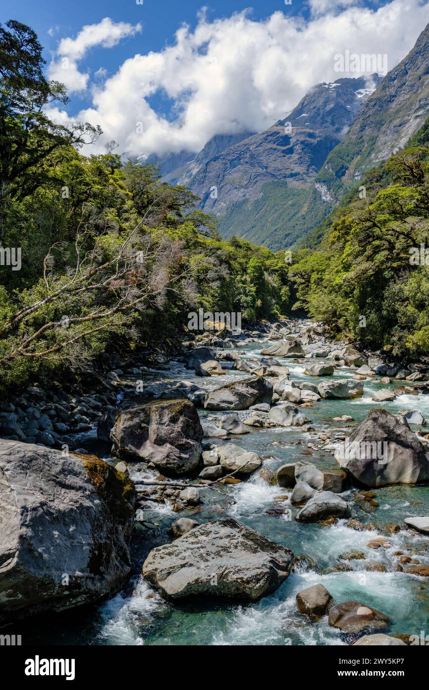 Tutoko River and view towards Mount Madeline, near Milford Sound, Fiordland National Park, Southland, South Island, New Zealand Stock Photo