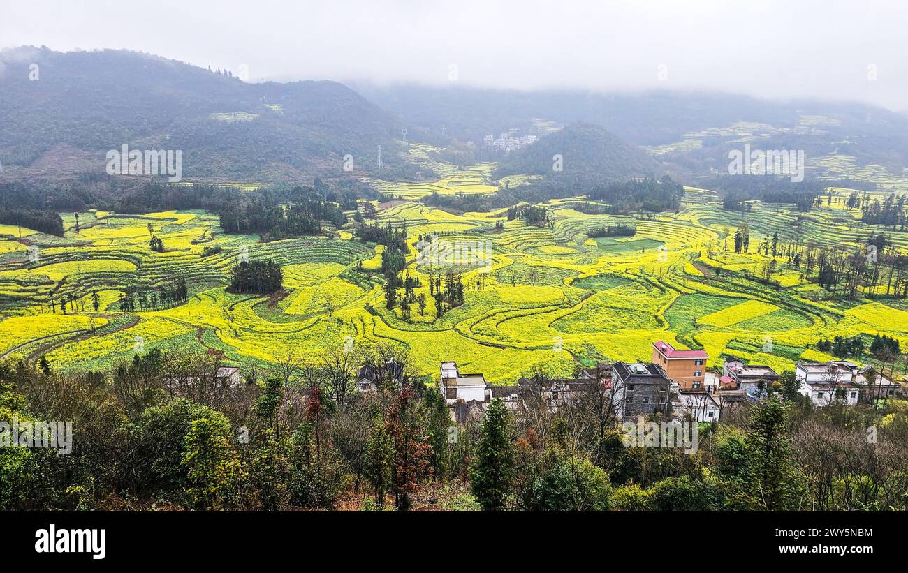 A hill covered with various crops in Luosi Field, Luoping China Stock Photo
