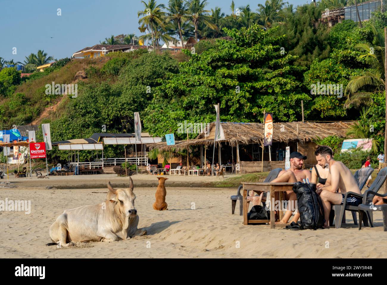 Indien Goa Anjuna Ozran Beach Little Vagator Beach Stock Photo Alamy