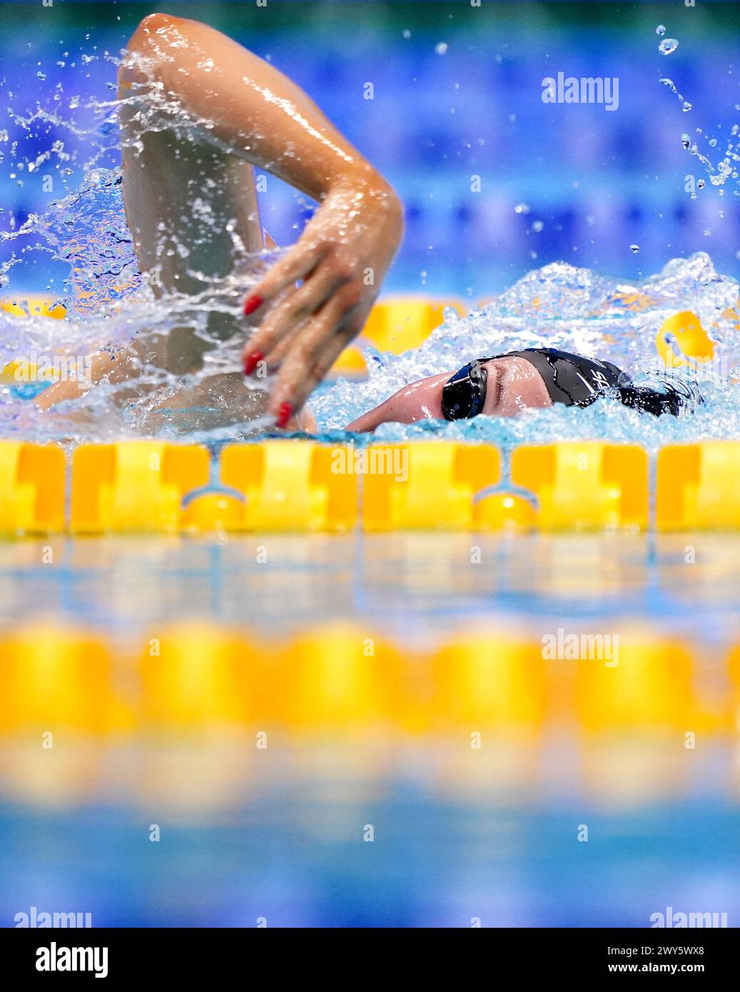 Katie Shanahan in action during the Women's 400m IM Heats on day three