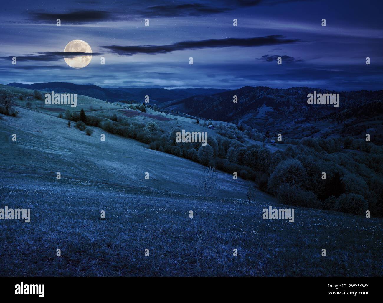 grassy meadow in carpathian mountains at night. wonderful countryside scenery with forested hills in full moon light Stock Photo