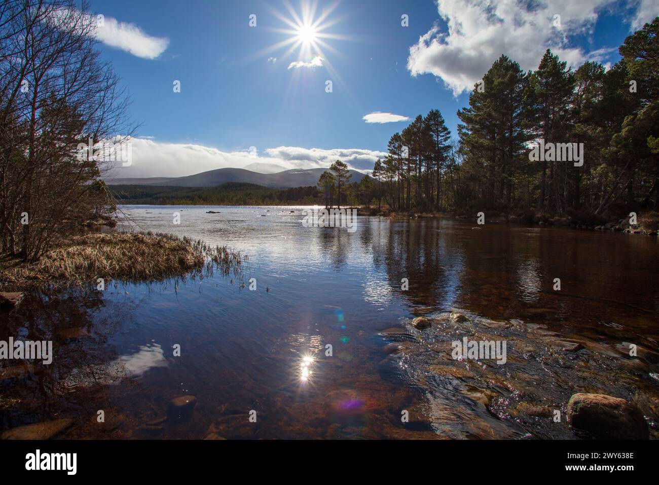 Loch Morlich from Rothiemurchus Lodge access bridge, Glenmore, Highlands, Scotland, Spring morning with the sun in shot, sun and forest reflections Stock Photo