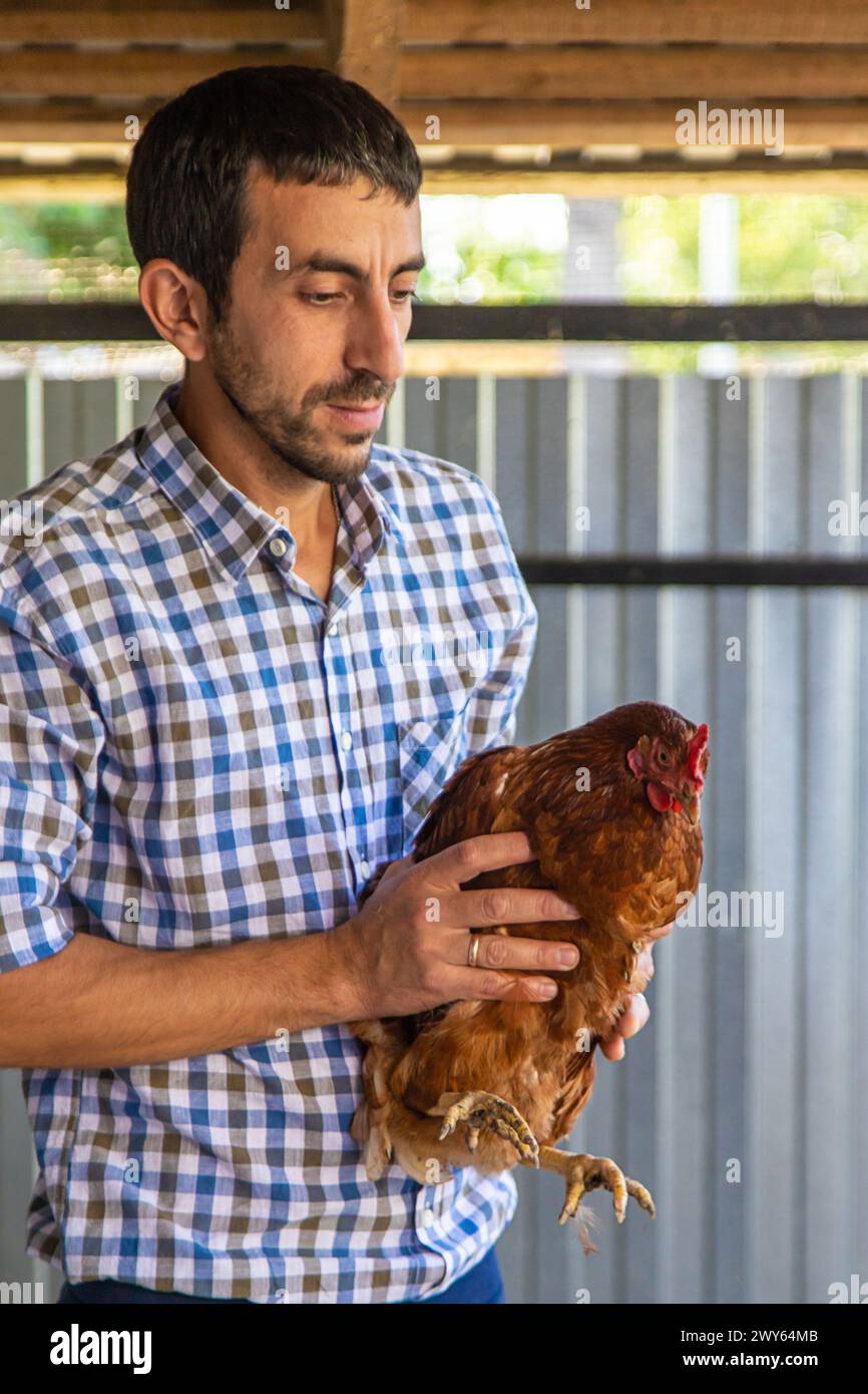 The farmer holds a chicken in his hands. Selective focus Stock Photo ...
